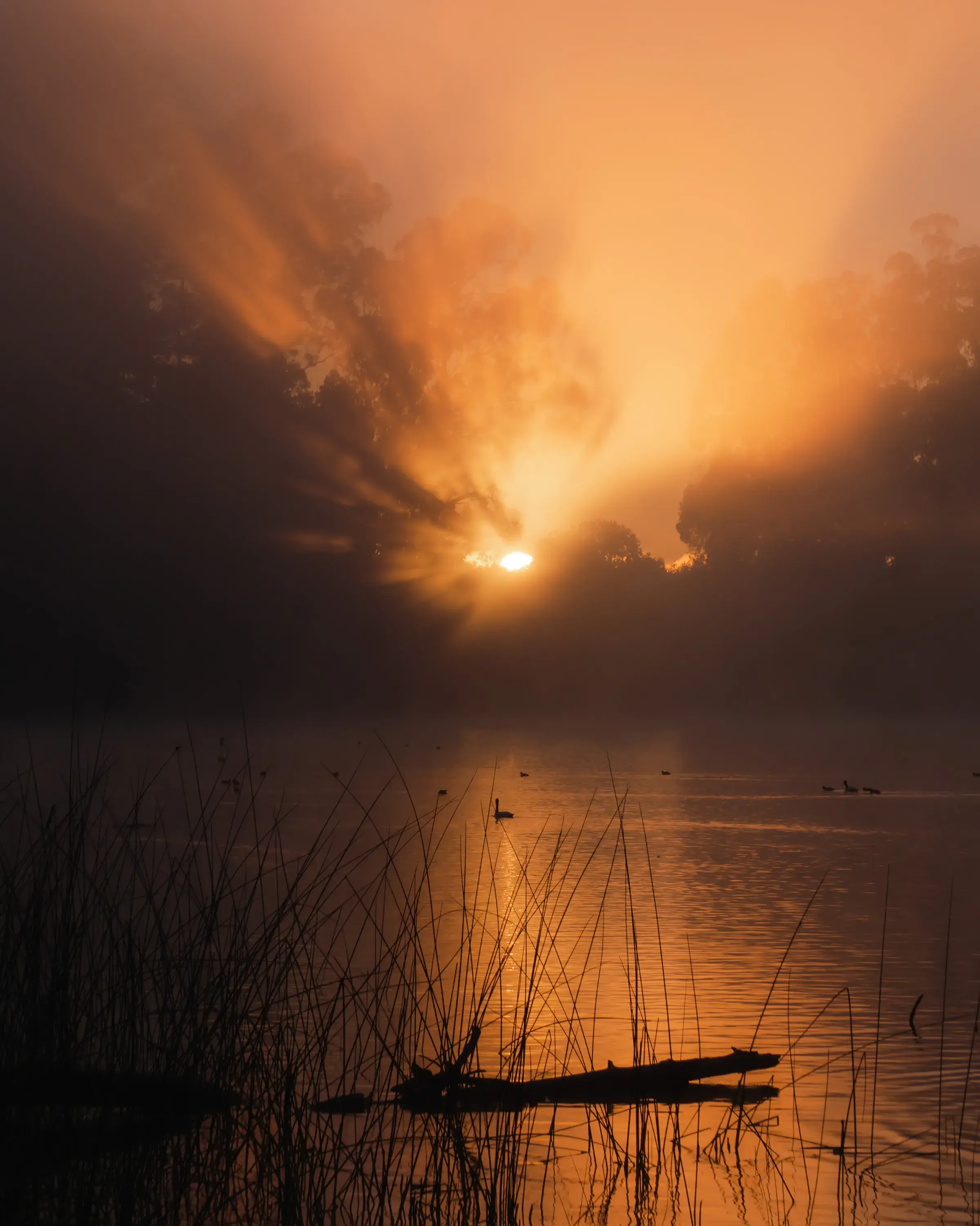 Amanecer con niebla sobre un lago del sur de Chile